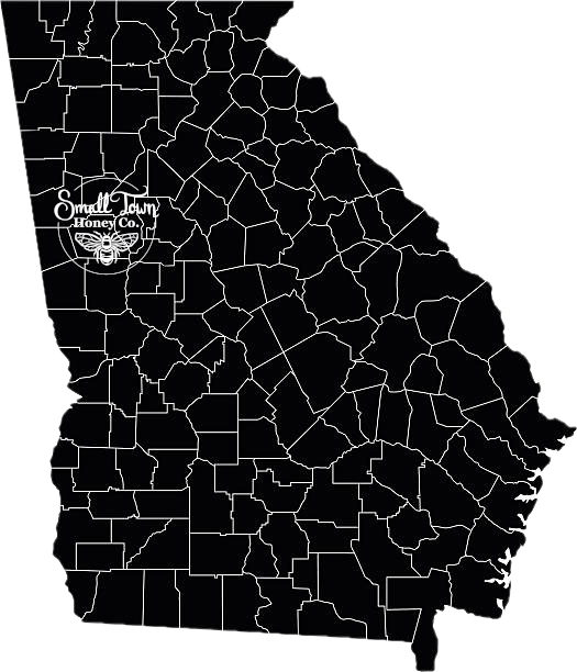 Map of the state of Georgia showing where our apiaries are located.